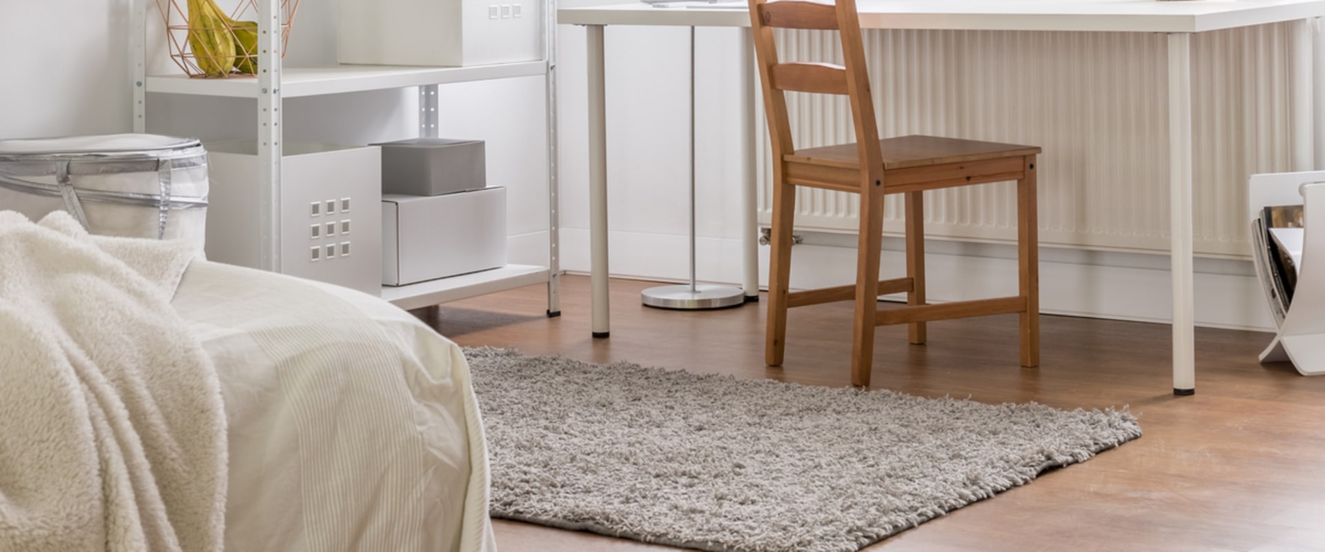 Creating an Allergy-Free Home for Pets and People