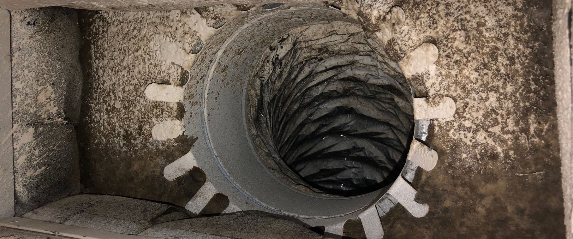 Is Mold in Air Ducts Common? An Expert's Perspective