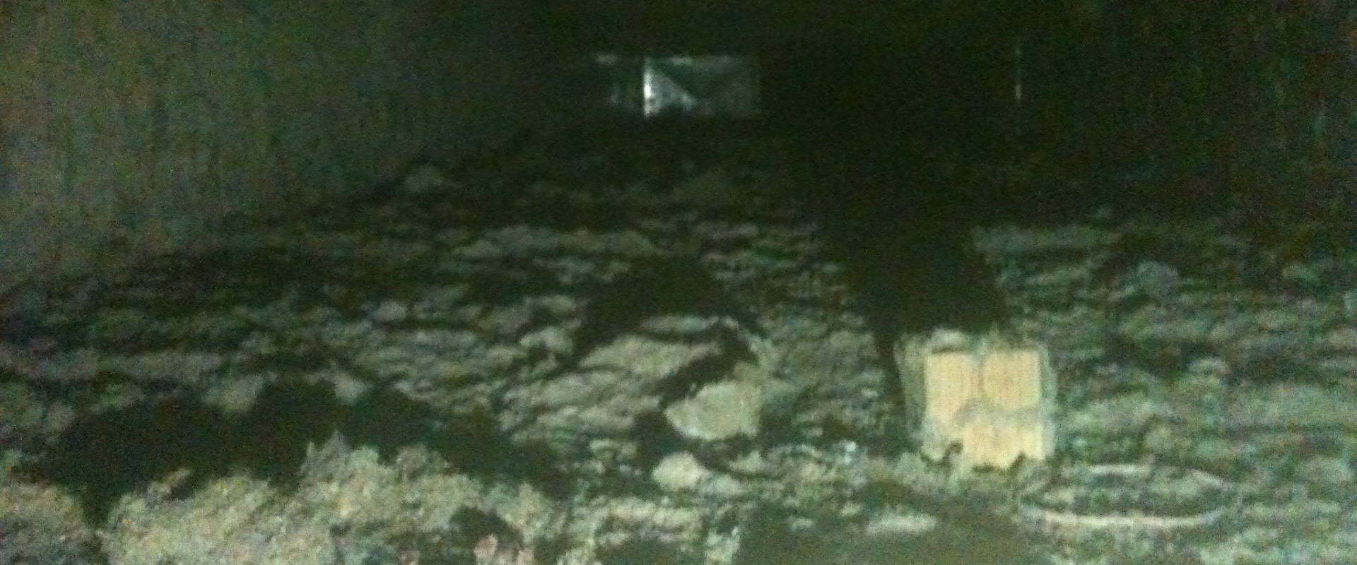 The Dangers of Dirty Air Ducts: What You Need to Know