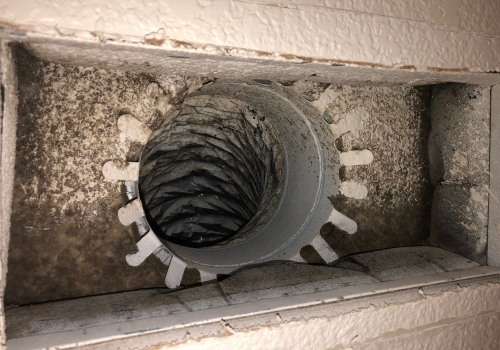 Is Mold in Air Ducts Common? An Expert's Perspective
